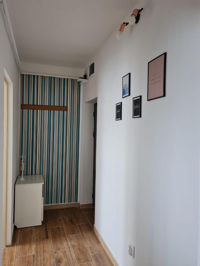 Dddd Apartament Cavnic Zewnętrze zdjęcie