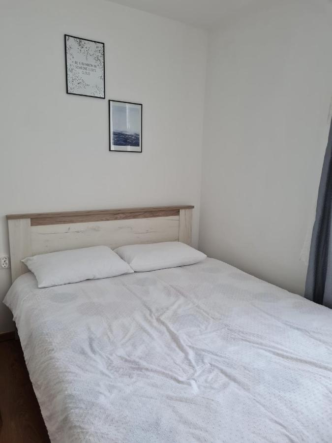 Dddd Apartament Cavnic Zewnętrze zdjęcie