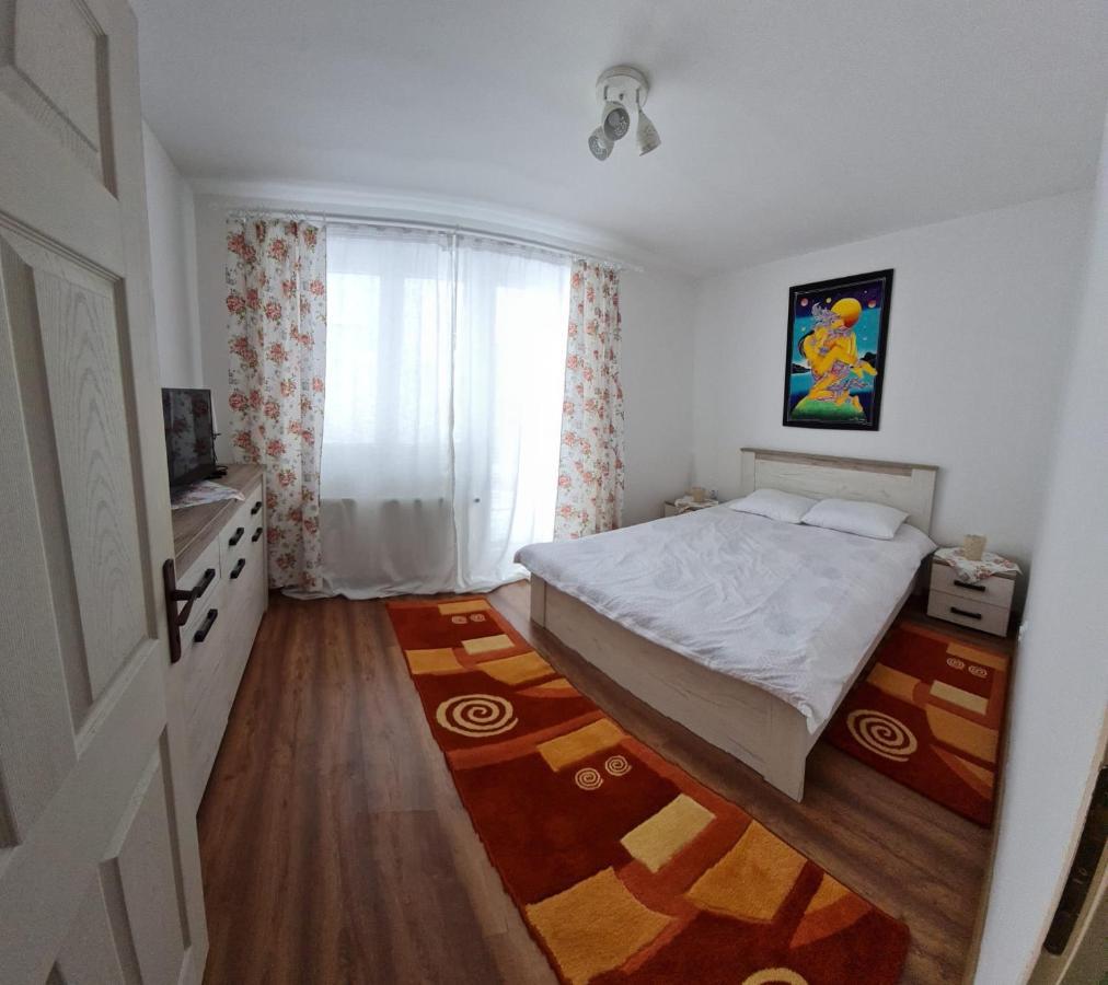 Dddd Apartament Cavnic Zewnętrze zdjęcie